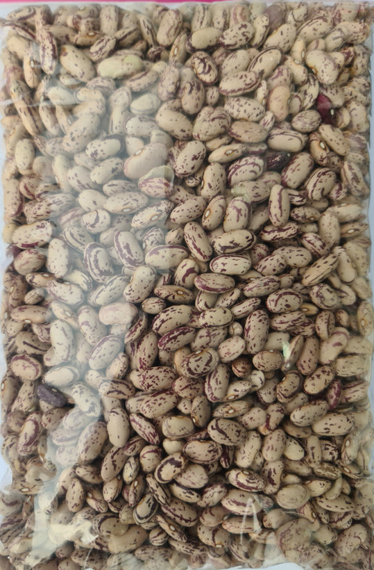 لوبیا چیتی درجه یک در بسته بندی ۵۰۰ گرمی