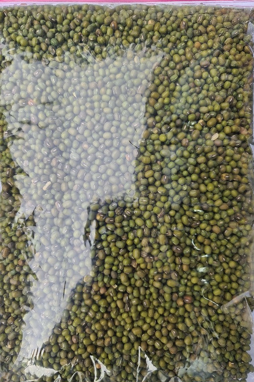ماش درجه یک در بسته بندی ۵۰۰ گرمی